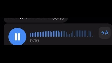 Платина - Они не шарят (snippet 08.12.24)