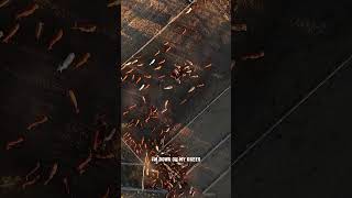OQCD Launch Social 6 1080x1920 1800 260522
