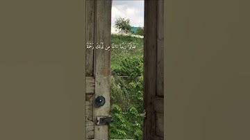 ما تيسر من سورة الكهف...