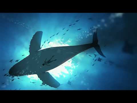 Video Whale Dreams Live Wallpaper | Xanh Share ♥ - youtube
