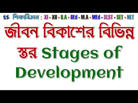 ভিডিও: প্রসবপূর্ব বিকাশের কোন পর্যায়টি সবচেয়ে দুর্বলতার সময়কাল?