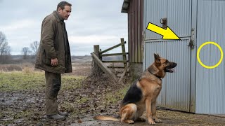 Download Lagu De hond huilde elke dag bij de schuur. Wat ze binnen vonden, kon niemand uitleggen! MP3 Download Lagu De hond huilde elke dag bij de schuur. Wat ze binnen vonden, kon niemand uitleggen! MP3