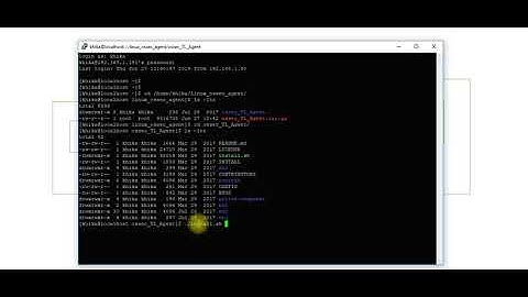 Installing OSSEC Agent on Linux Server