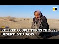 Retired Chinese couple dedicates nearly two decades turning desert into oasis