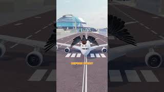 Why Bullet Is Fired Before Take Off #ytshorts #shorts #plane