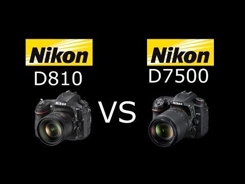 Nikon D810 vs Nikon D7500 en Español | VS Digital