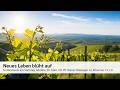 Neues Leben blüht auf
