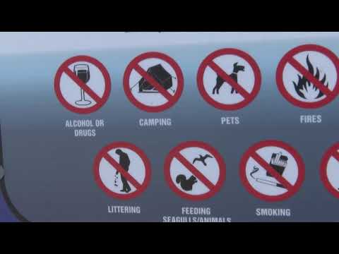 Videó: Bevihetők a kutyák az Ortley Beach nj területére?