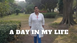 A Day In My Life Reenas Sweet Home & Kitchen Manchurian Recipe