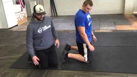 Reverse hamstring curls