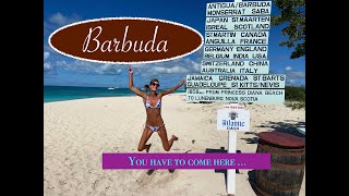 Come Away to Barbuda: A stunning Caribbean island & home to mythical Princess Diana Beach!