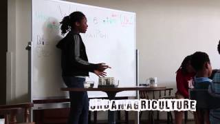 KI Stem Summer Camp 2015 Day 2