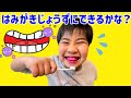 上手に歯みがき出来るかな？　歯垢染めでかいちゃんの歯をチェックしたよ♪　ちゃんとはみがきしようね