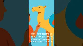 Il cammello: il campione che vive senza acqua! #shorts