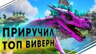 Выживание в ARK Primal Fear #2 | Приручение ТОП ВИВЕРНЫ в ARK | Развитие в АРК Выживание в ARK Primal Fear #2 | Приручение ТОП ВИВЕРНЫ в ARK | Развитие в АРК