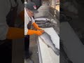 #Salmon 🐬 Remove Salmon Scales with a Iron  Brush ☺️💚