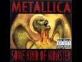 Metallica - Some Kind Of Monster