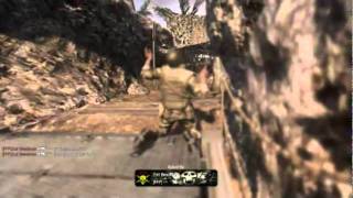 Black Ops Gold PSG1 Crisis HCTDM Collateral