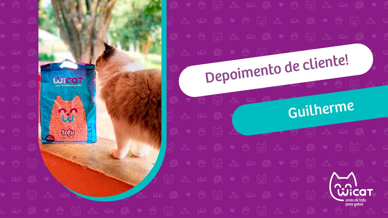 #ClienteWiCat | Granulado biodegradável | WiCat - YouTube