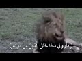 هذا خلق الله فأروني ماذا خلق الذين من دونه القارئ ياسر الدوسري هذا خلق الله فأروني ماذا خلق الذين من دونه القارئ ياسر الدوسري
