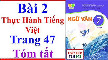 Ngữ Văn 7 Bài 2 | Thực Hành Tiếng Việt | Trang 47 | Kết Nối Tri Thức | Tóm Tắt