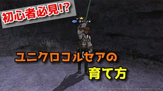 超初心者向け 超万能優秀ジョブ コルセア の育成方法 ユニクロ装備解説 要概要欄確認 ユニクロ装備紹介シリーズ第一弾 Youtube