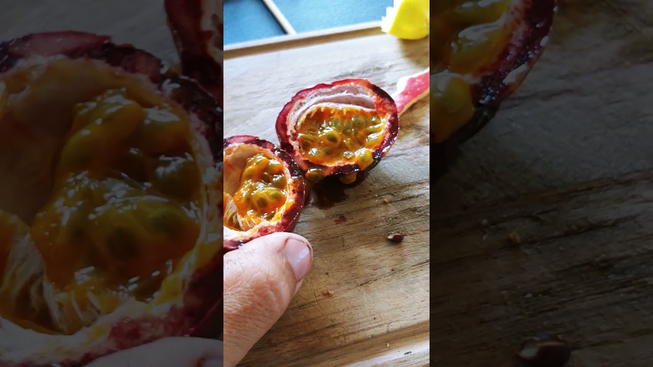 2026-01-18 [Su] 11-04 Маракуйя Purple Passionfruit