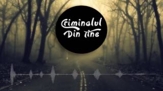 Lavinia Ionita   Criminalul din tine Official Single