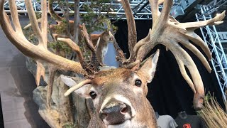 “HIGHLIGHTS” great american outdoor show 2020 nra screenshot 3