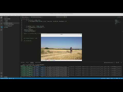 Full Body Video Recognition using OpenCV
