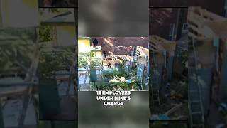 From 12 to Infinite: The Phenomenal Rise of Mike Holmes