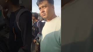 Driver braking for turtle causes multi-car accident video