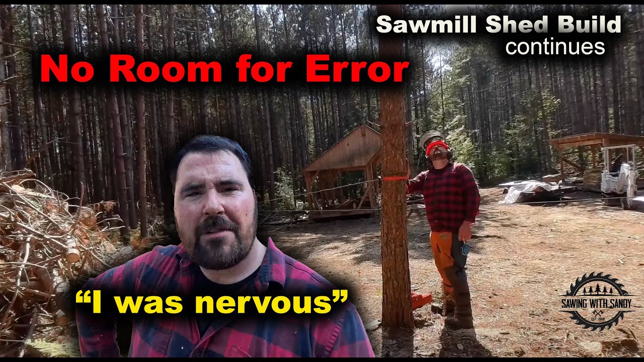 Cutting Down Trees Right Next to a Building (episode 5) - YouTube