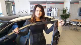 Maxima March at Middletown Nissan