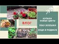 🌺ВЛОГ🌺Вода в подвале.Купила новые цветы.Пеку лакумы. @SubTatiana