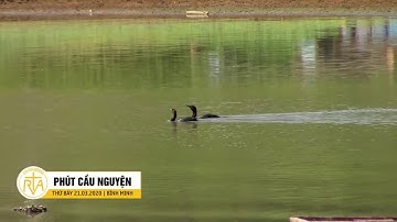 Phút Cầu Nguyện, Thứ Bảy 21/03/2020: Tình Yêu Diệu Kỳ