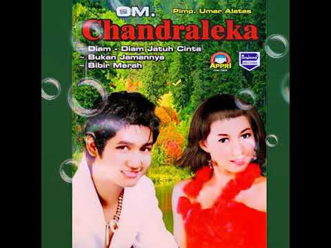 O.M CHANDRALEKA - diam diam jatuh cinta