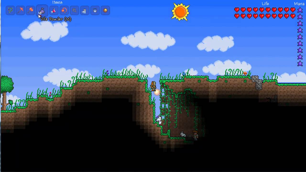 Terraria The Bunny! YouTube