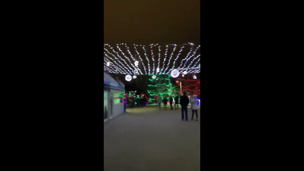 Zoo Lights Calgary,Alberta Canada.