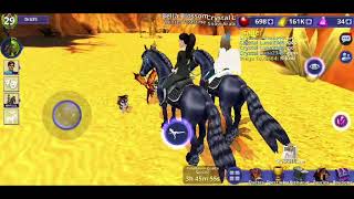 Horse riding tales : Cristal & Bella meeting !