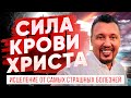 Смысл Пасхи | Секреты духовной победы | Слово и Молитва 31 марта | Апостол Владимир Мунтян