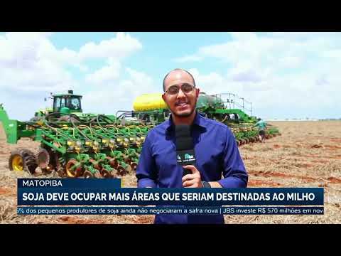 Matopiba | Soja deve ocupar mais áreas que seriam destinadas ao milho | Canal Rural