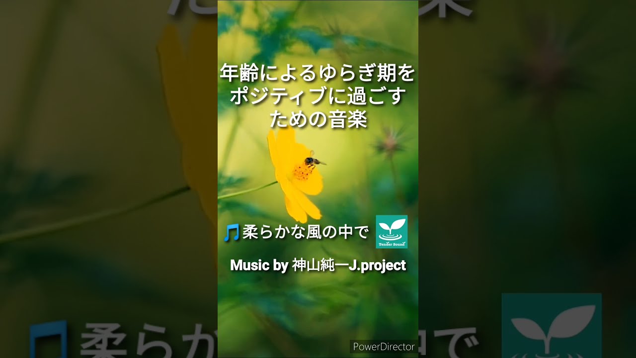 気楽体元気 やさしく楽しい癒しへの道 Amazon.co.jp: 気楽体元気: やさしく楽しい癒しへの道 : 宮城