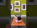 Fix Your Posture With This Magic Circle Shoulder Lift #bodymechanics #scapula #shoulderhealth