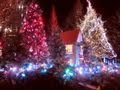 Karuizawa Christmas illumination 冬の軽井沢クリスマスイルミネーション 軽井沢観光 Christmas Lights 教会 ライトアップ 長野観光
