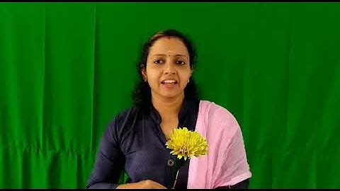 Std 1 Integration Unit 3 Class 17 White Board HI