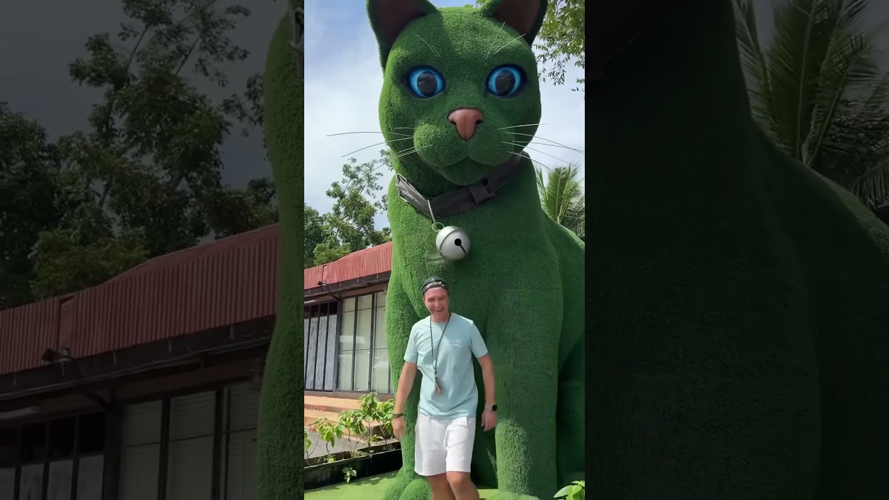 This cat is really alive!#funny #cats#catvideos#tiktok#social#usafunny#catlovers#funpage