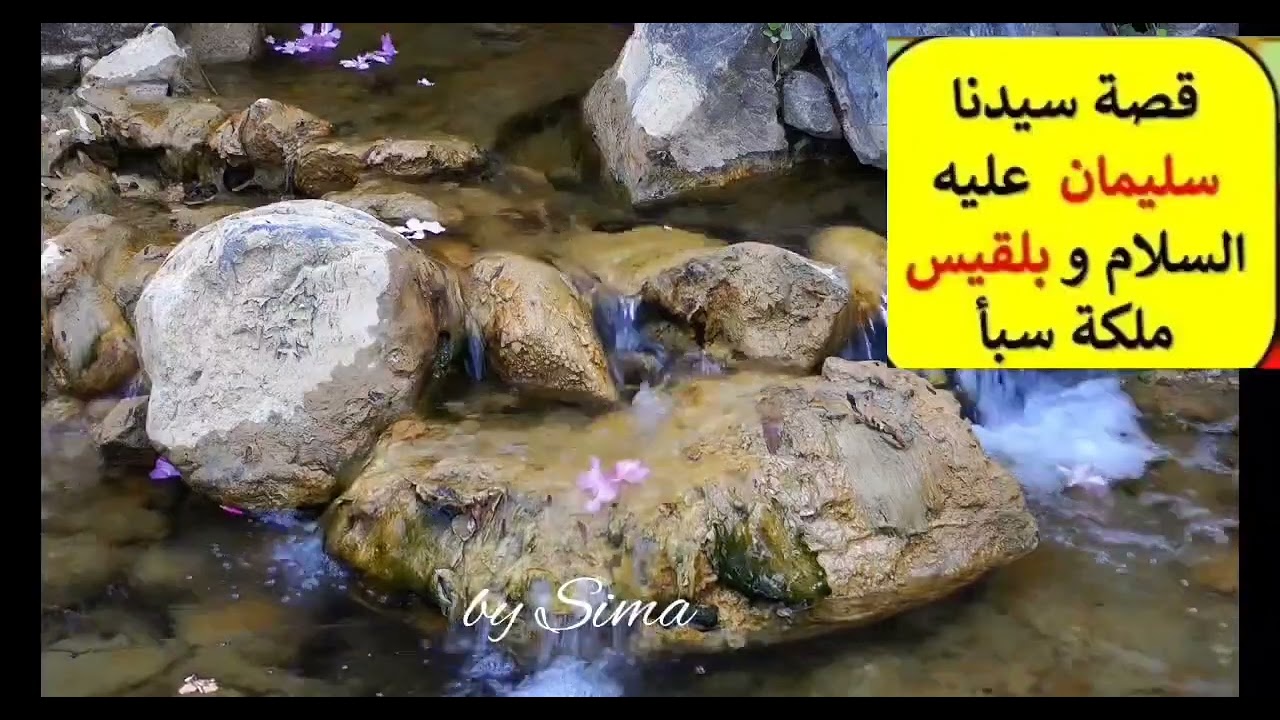 قصة سيدنا سليمان مع بلقيس ملكة سبأ
