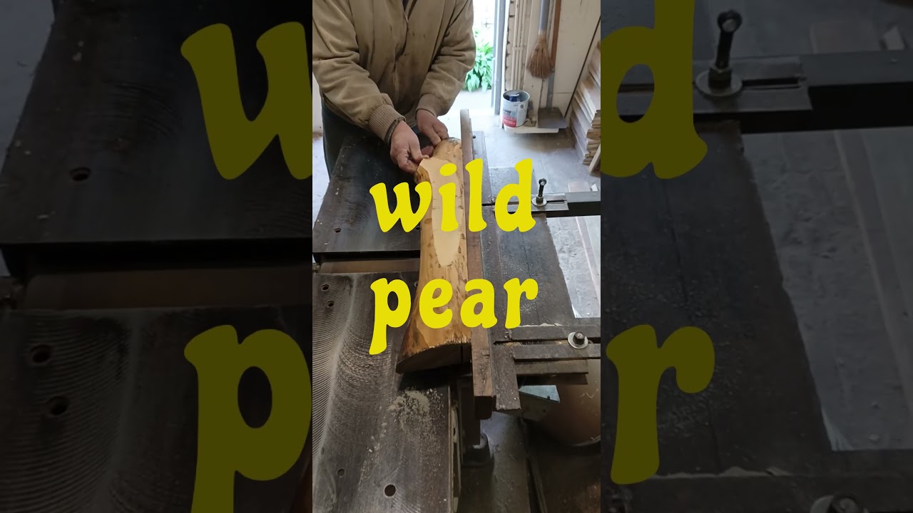 wild pear 