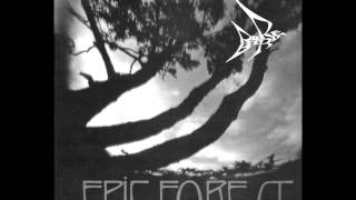 Video thumbnail of "Rare Bird - Epic Forest"